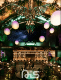  TROPICAL BAR 