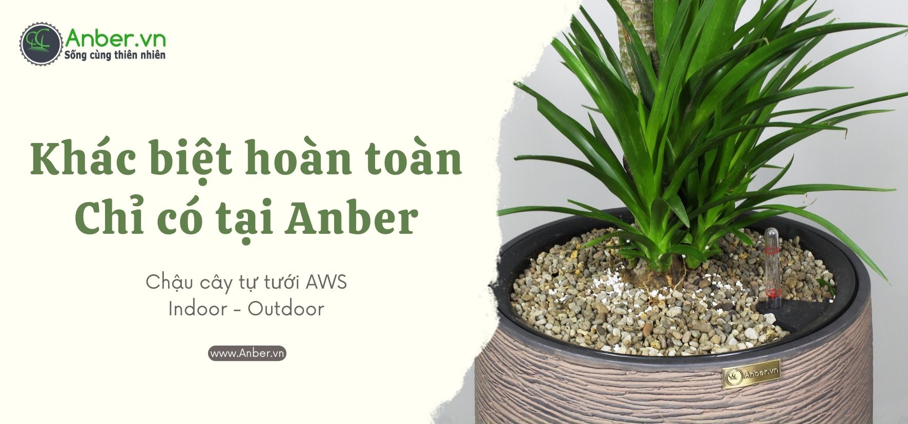 chậu cây trong nhà tự tưới thông minh