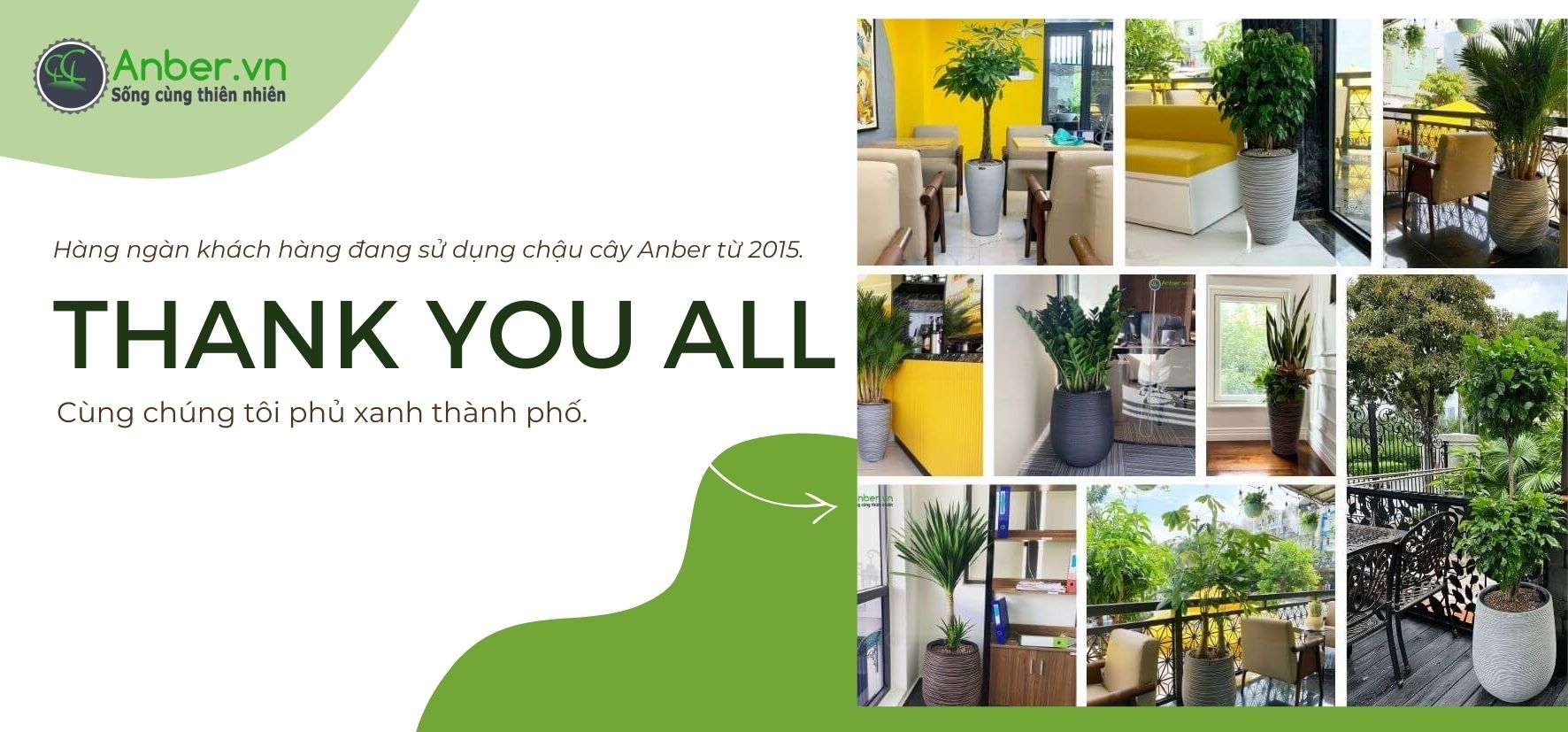 chậu cây trong nhà tự tưới thông minh