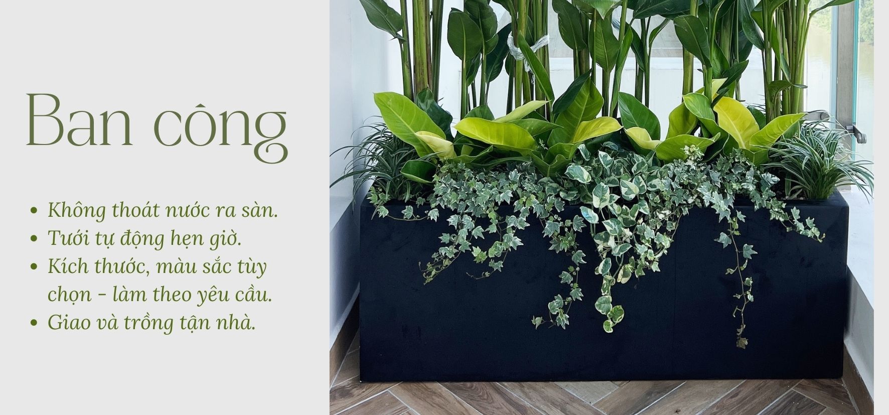 Chậu cây ban công