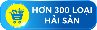 26. CỨ ĐỂ ĐẢO LO - YO WEEKEND