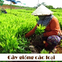 Banner khuyến mãi 2