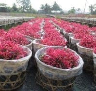 Sản phẩm nổi bật 10