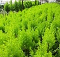 Sản phẩm nổi bật 3