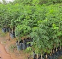Sản phẩm nổi bật 4