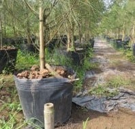 Sản phẩm nổi bật 5