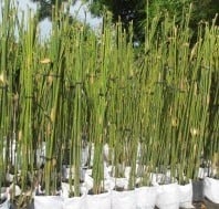 Sản phẩm nổi bật 6