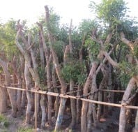 Sản phẩm nổi bật 8