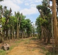 Sản phẩm nổi bật 9