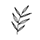 Japandi
