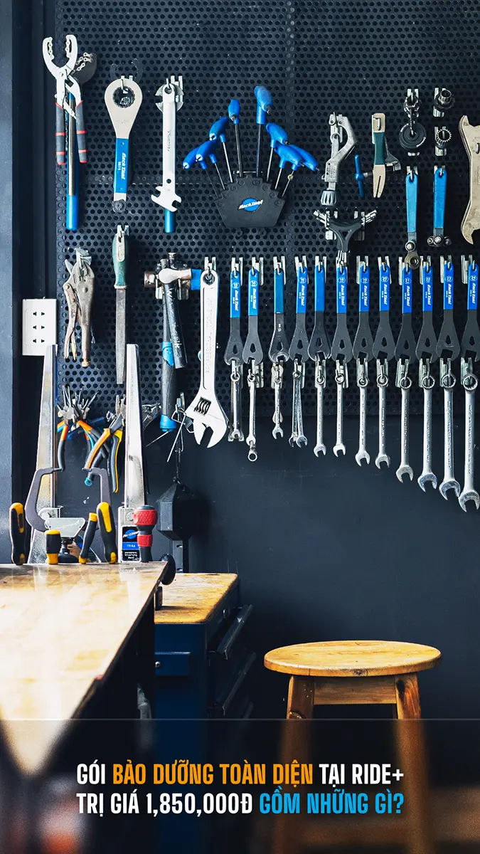 Bảo dưỡng toàn diện