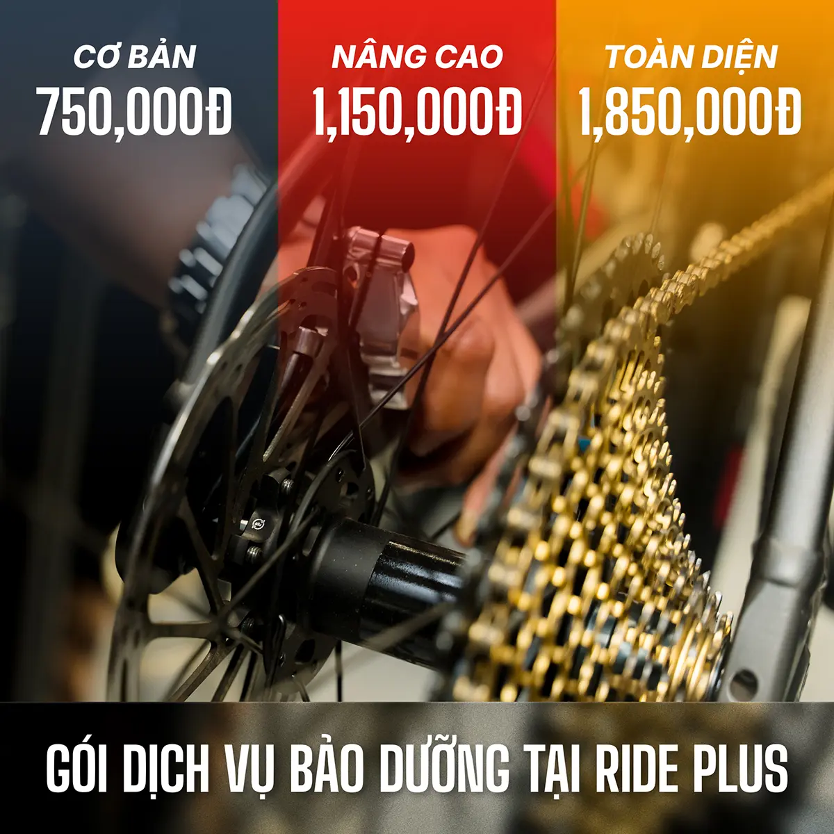 Dịch vụ TuneUp