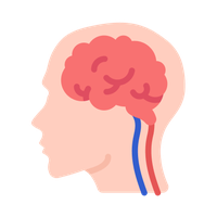 Tăng Trí Tăng Lực