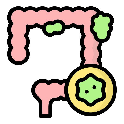 Hỗ Trợ Trĩ Táo Bón- Đại Tràng