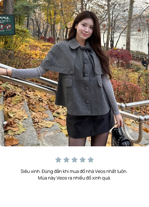 banner_coll_2_3_title