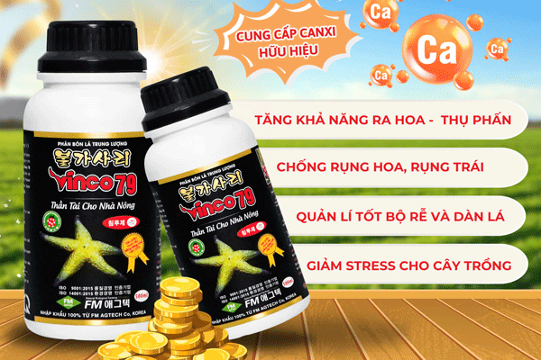 https://thegioinongnghiep.com/products/vinco-79-bulgasari-phan-bon-huu-co-sao-bien-cao-cap-han-quoc-giai-phap-tang-nang-suat-vuot-troi