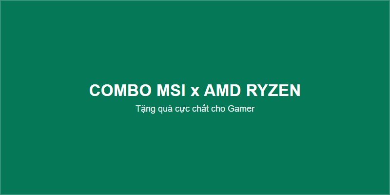 COMBO MSI x AMD RYZEN