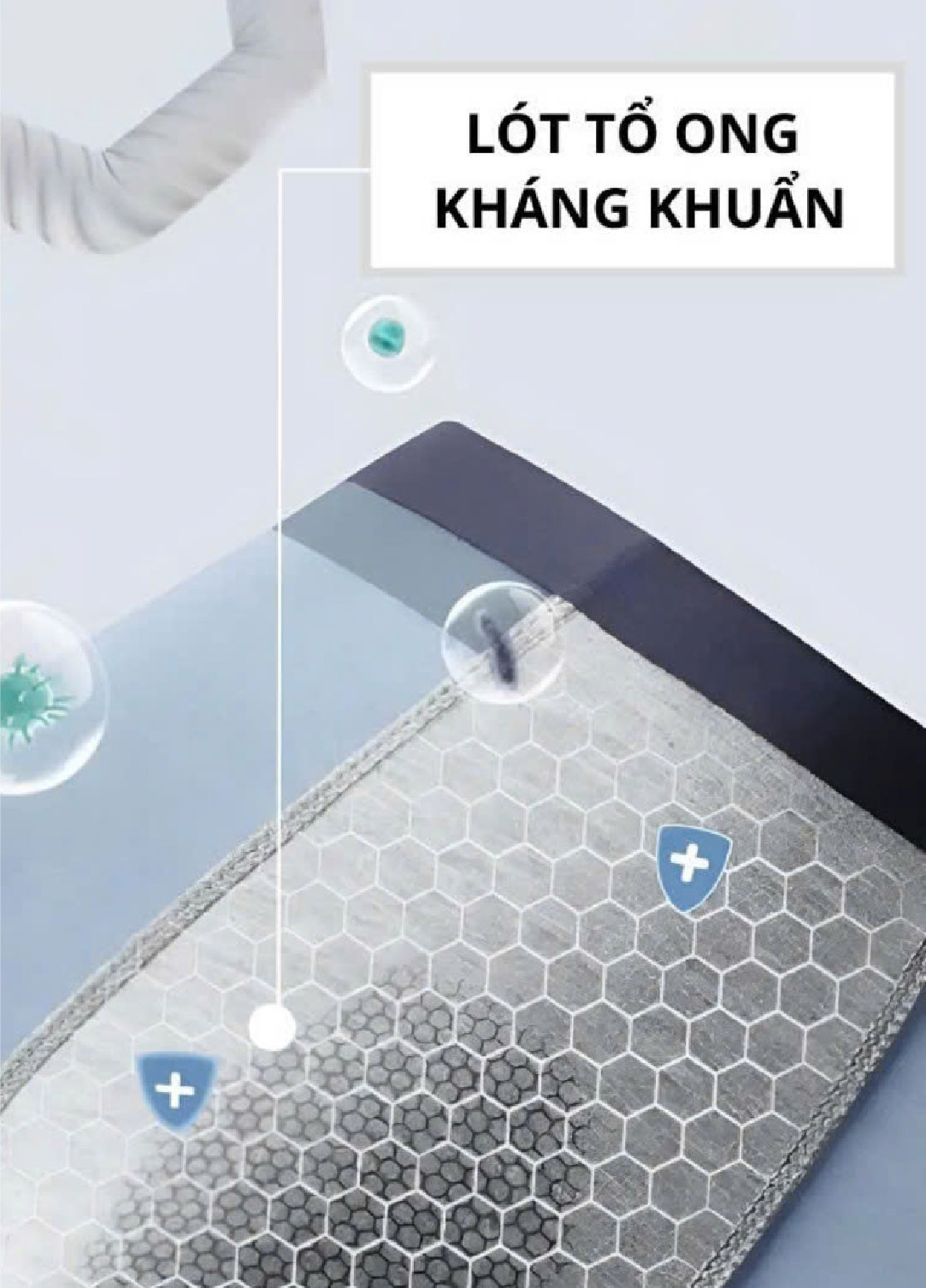 banner_coll_1_1_title