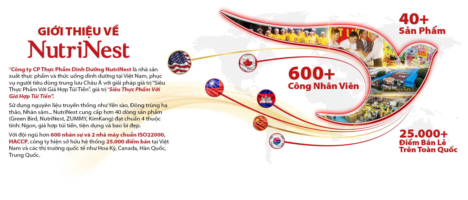 Giới thiệu công ty