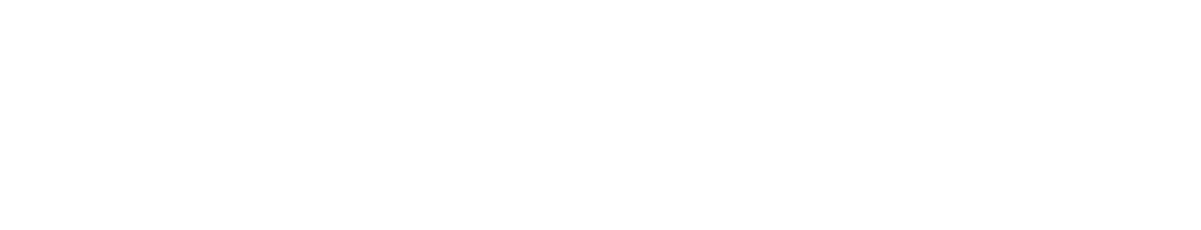 logo GENVIET JEANS