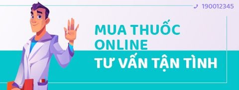 banner top 1