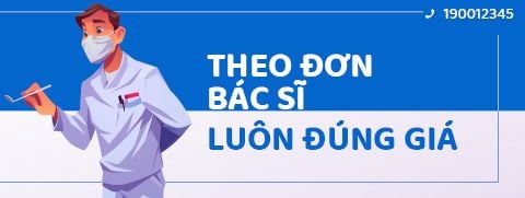 banner top 2