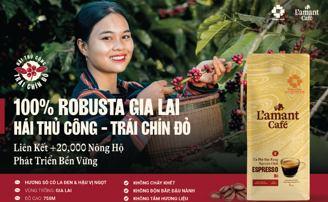 100% Robusta Gia Lai, Hái thủ công - Trái chín đỏ