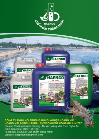 Ảnh tại sao bạn nên chọn chúng tôi