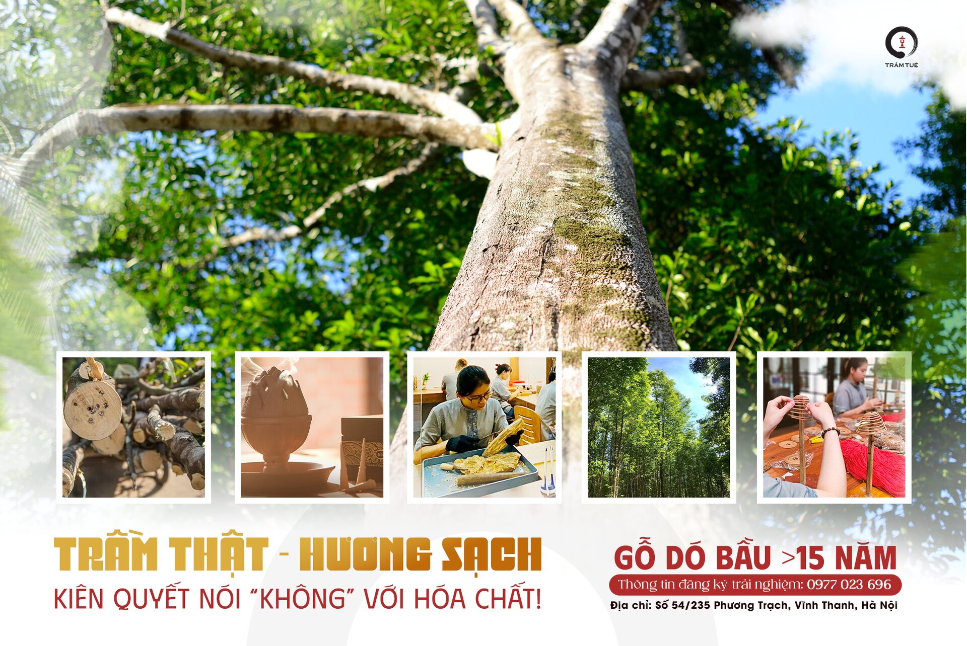 Trầm Hương Việt Nam