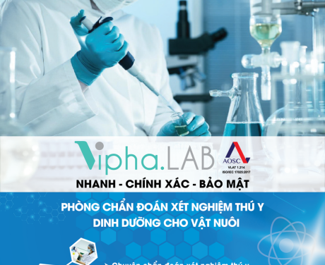 Vipha.Lab
