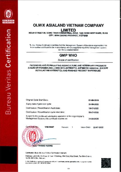 Chứng chỉ GMP - WHO