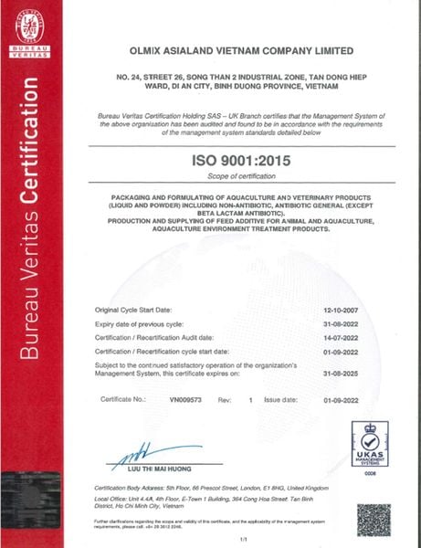 Chứng chỉ ISO 9001-2015