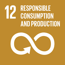 Sustainable development goal 4