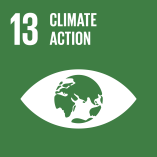 Sustainable development goal 5
