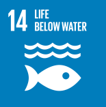 Sustainable development goal 6