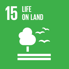 Sustainable development goal 7