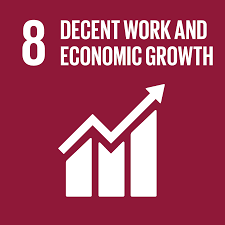 Sustainable development goal 9