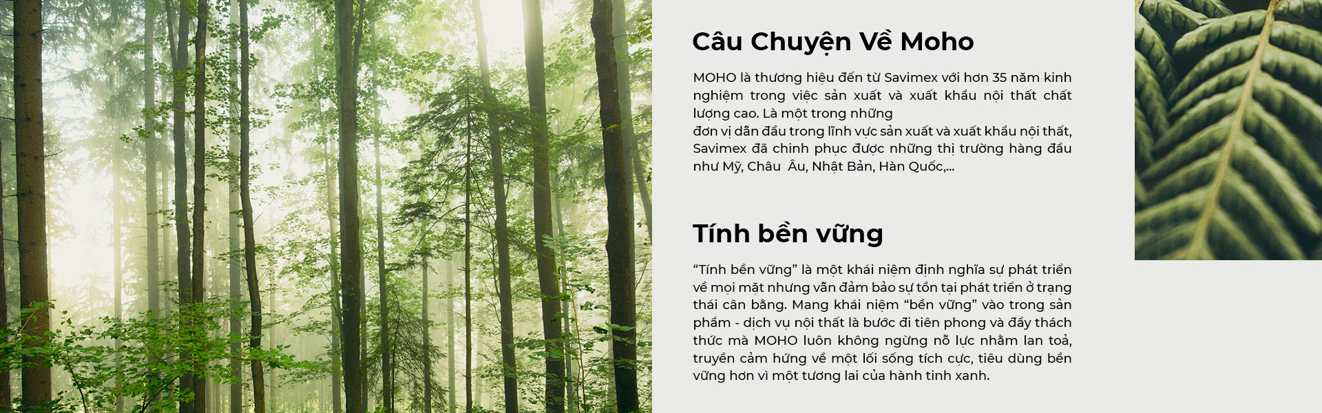 Tủ bếp bền vững