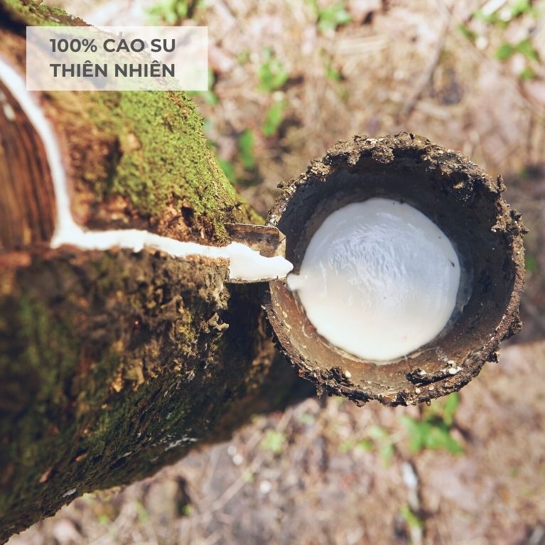 100% Cao su