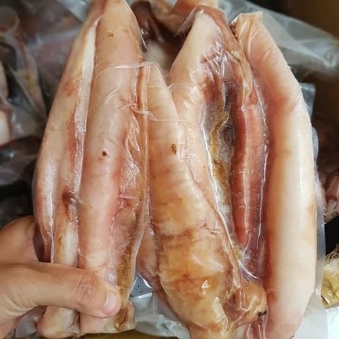 Túi gân cá ngừ đại dương tươi ngon đóng gói sẵn