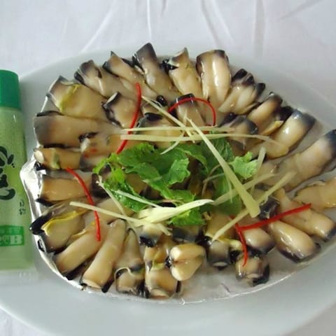Cồi hàu điếu thái lát xếp đĩa ăn sashimi