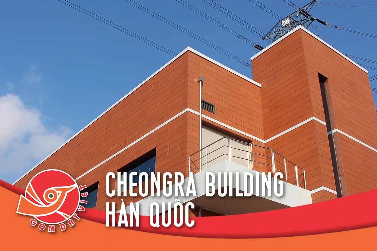 Dự án 6