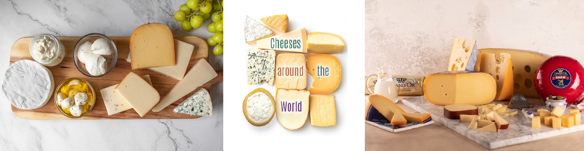  panda developer team