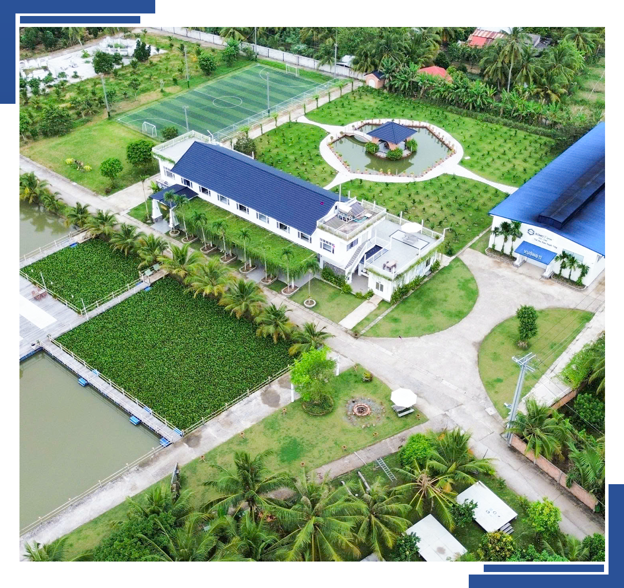 Trang trại - Somo Farm