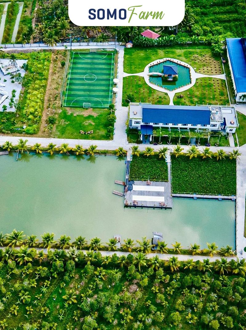 Trang trại - Somo Farm