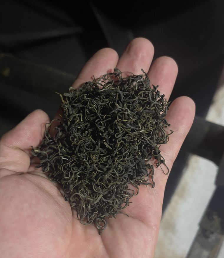 Vùng chè Đại Từ – La Bằng, Thái Nguyên