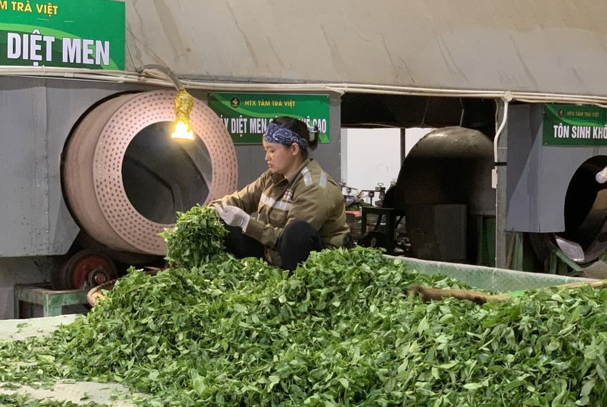 SẠCH CÓ GIẤY TỜ KHÔNG NHỜ LỜI NÓI