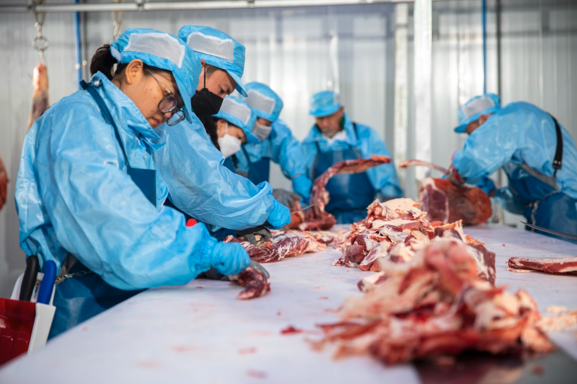Môi trường làm việc Mr.T Beef 5
