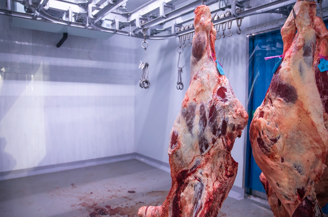 Môi trường làm việc Mr.T Beef 7