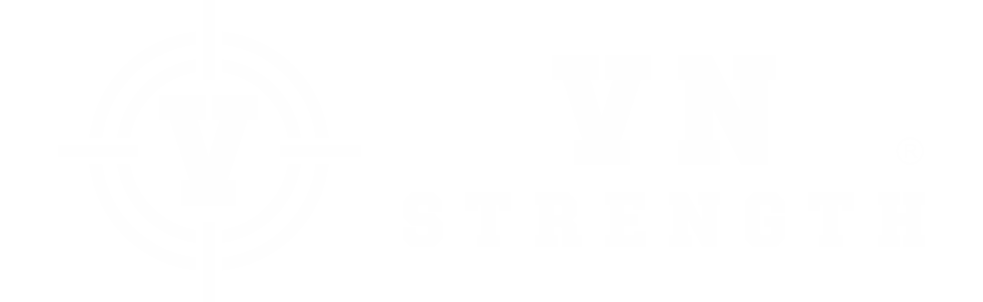 logo VN-STRENGTH.COM︱ĐAM MÊ VÀ SỨC MẠNH